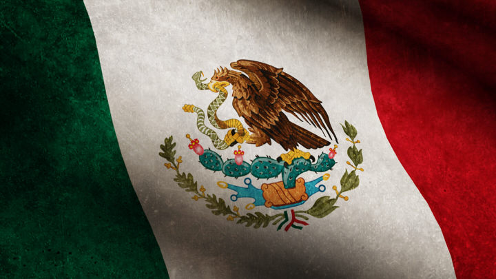 Mexico State Flag