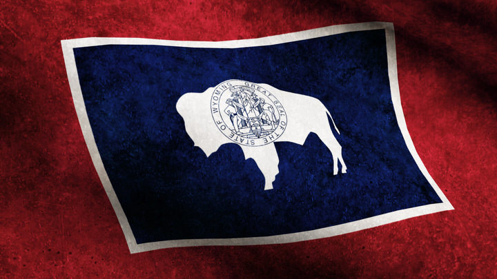 Wyoming State Flag