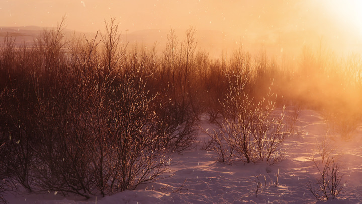 Snowy Sunrise