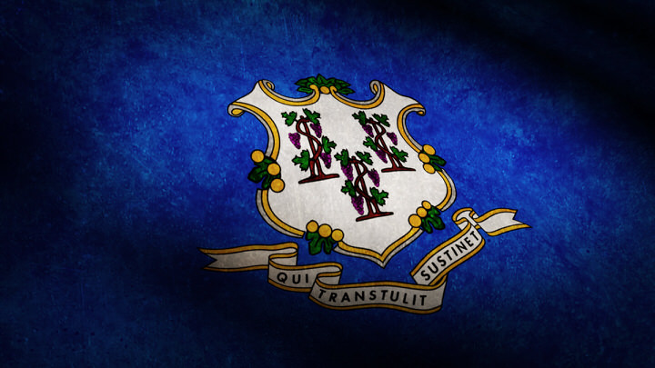 Connecticut State Flag