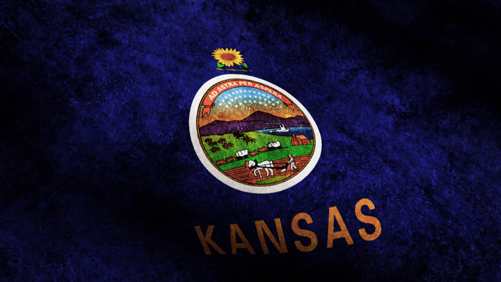 Kansas State Flag