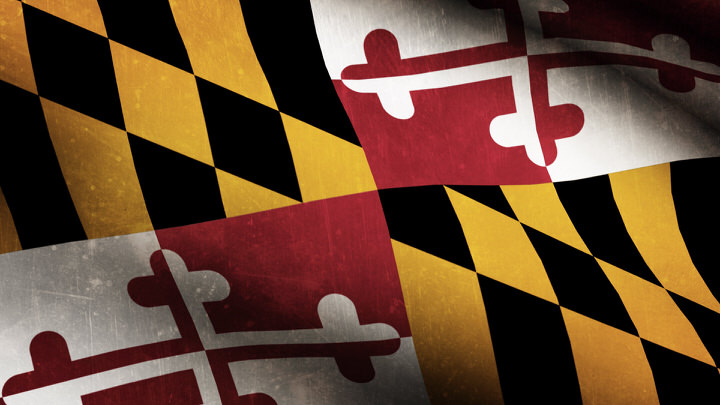 Maryland State Flag