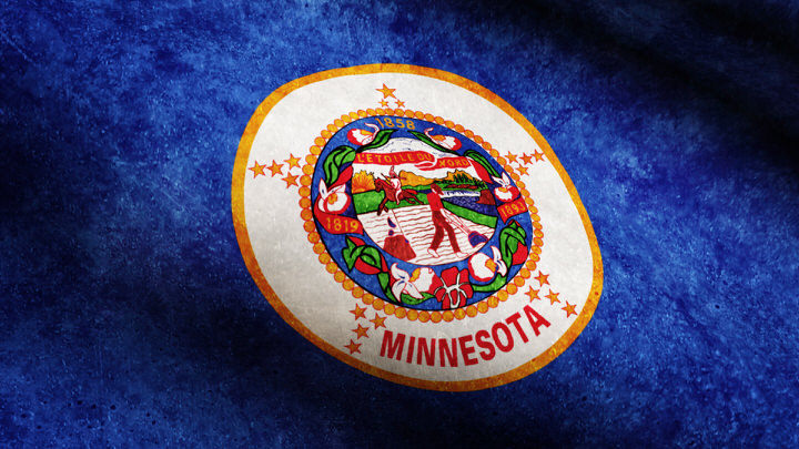 Minnesota State Flag