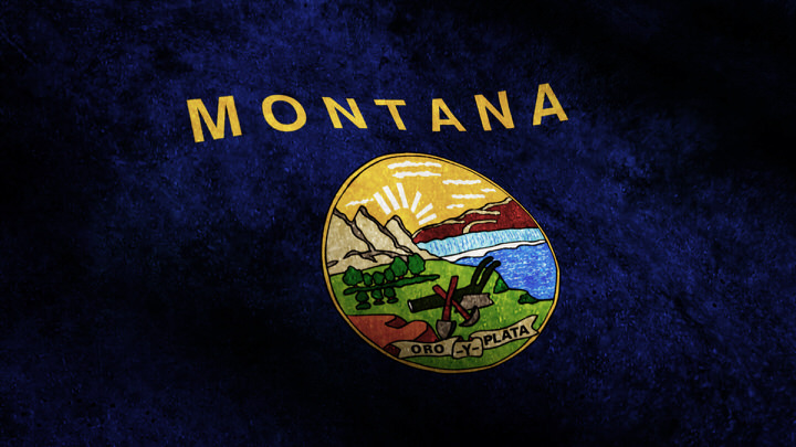 Montana State Flag