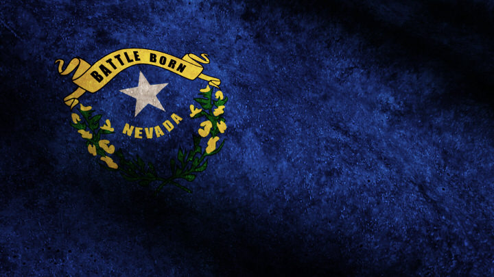 Nevada State Flag