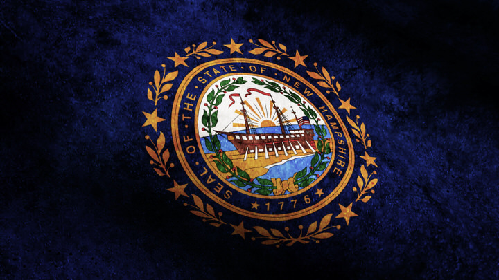 New Hampshire State Flag