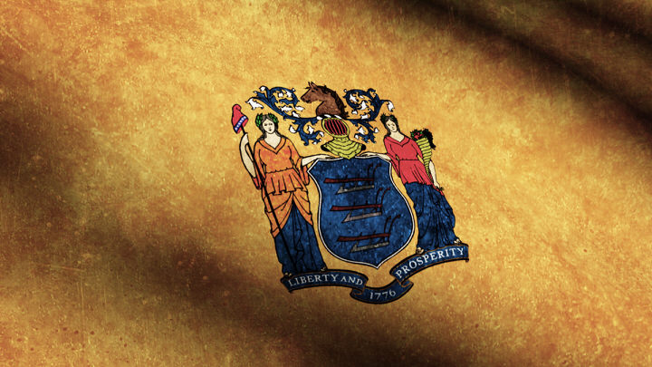 New Jersey State Flag