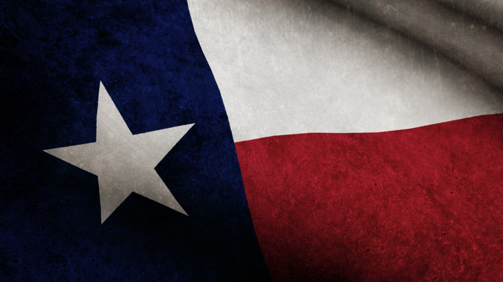 Texas State Flag